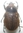 Heterogomphus hirtus mâle A1 petit