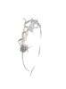 Cupecuara santosilvai  mâle A1